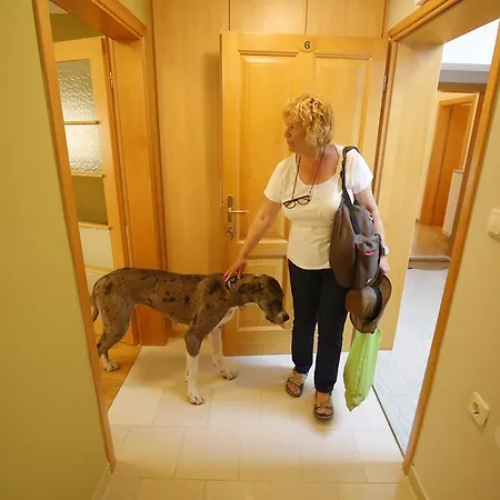 Apartament Zubcic